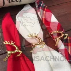 Beautiful Festive Napkin Ring Set in Texas